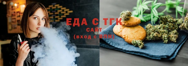 индика Мегион