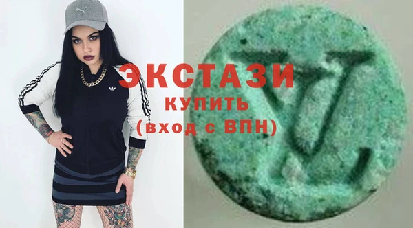индика Мегион