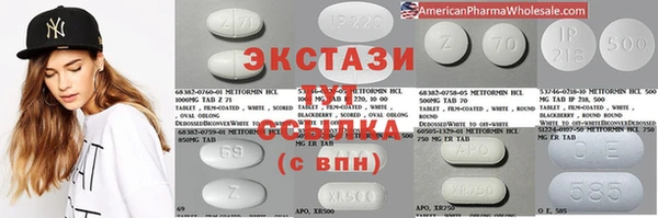 индика Мегион