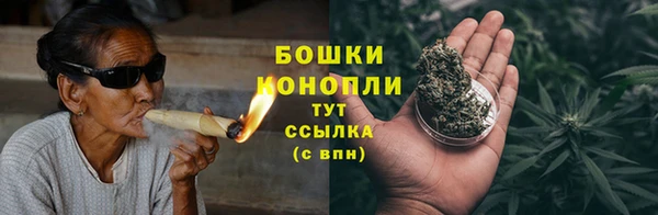 индика Мегион