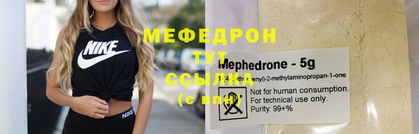 индика Мегион