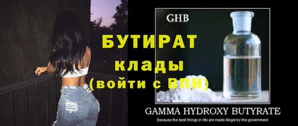 индика Мегион