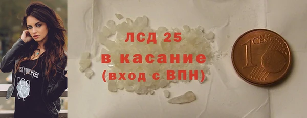 индика Мегион