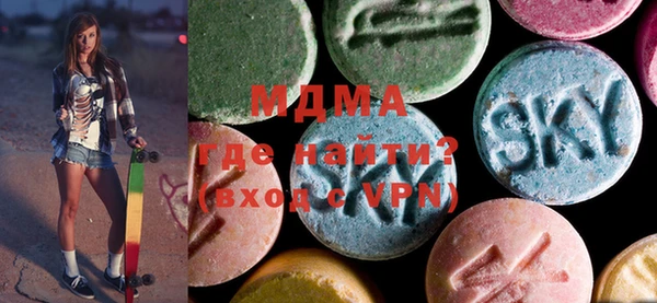 индика Мегион