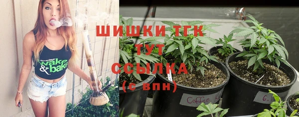 индика Мегион