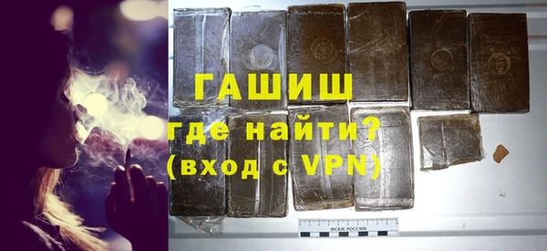 индика Мегион